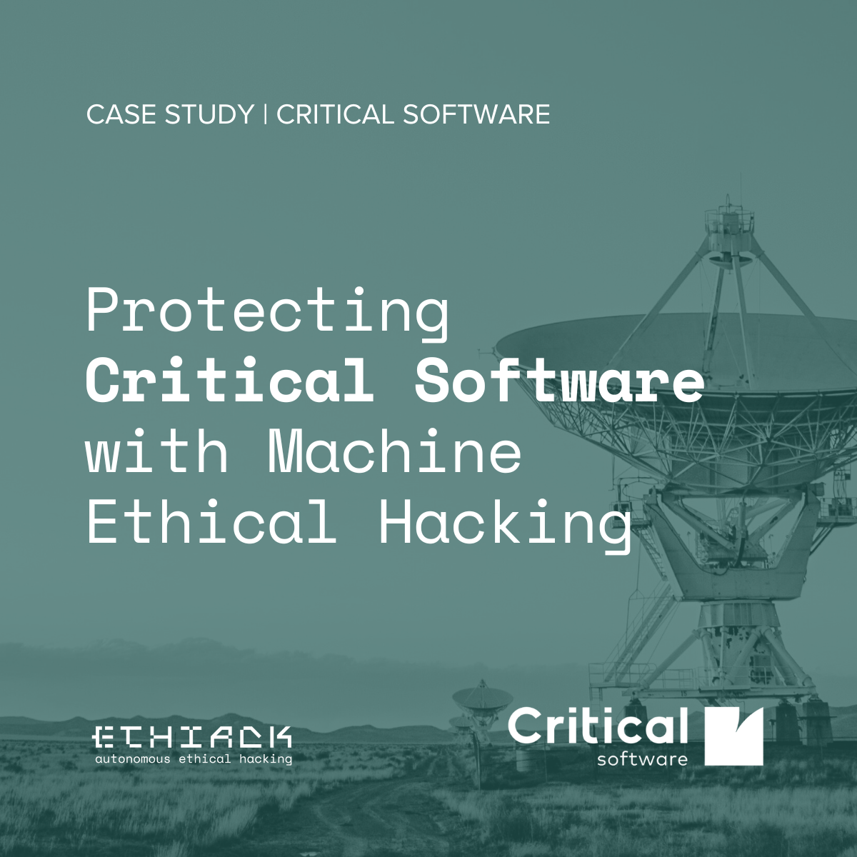 CS CRITICAL SOFTWARE